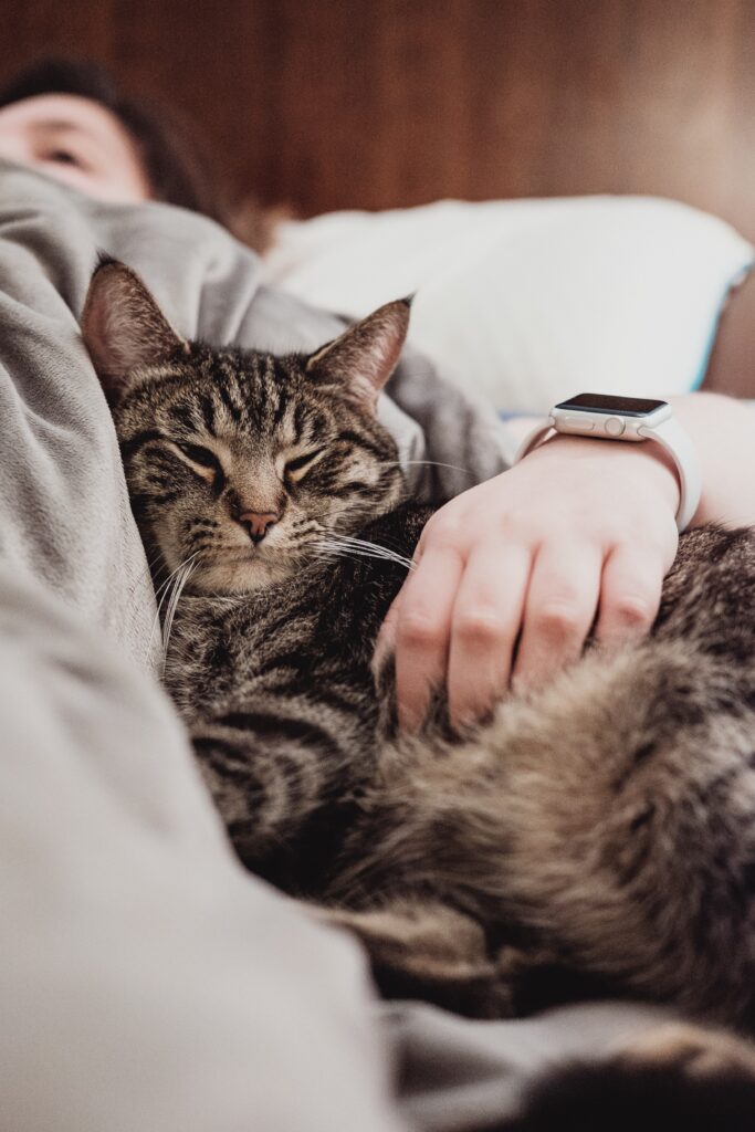 A heartwarming image of a cat and a woman cuddling, symbolizing affection and a moment of connection in the decision-making process of getting or adopting a cat.